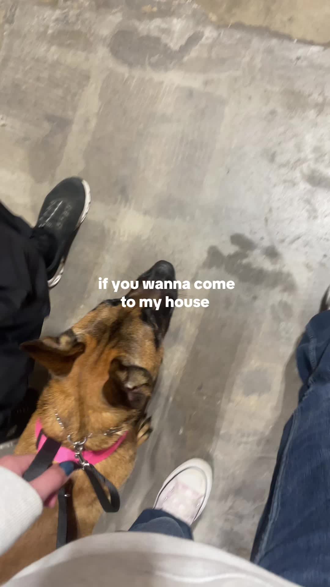@Mavis L. Wanczyk