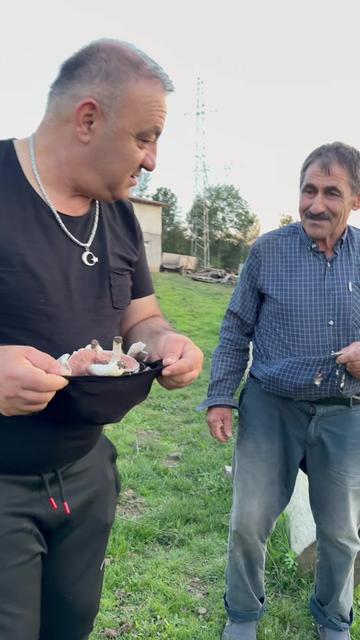 @dayı