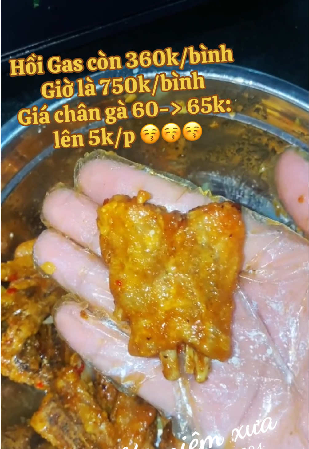 @Ch&acirc;n g&agrave; chi&ecirc;n gi&ograve;n - TULY