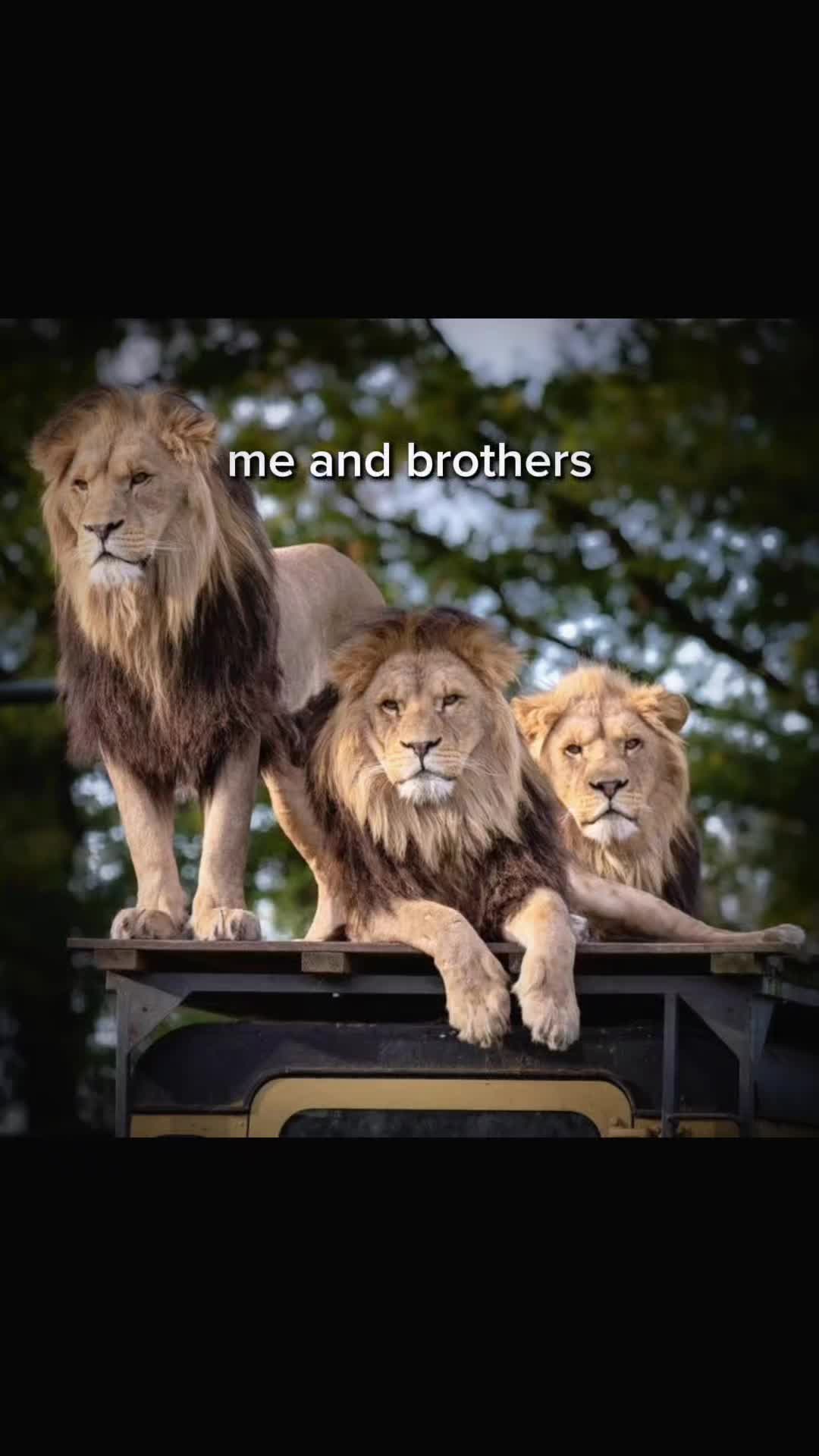 @Nandu🇳🇵🇲🇺