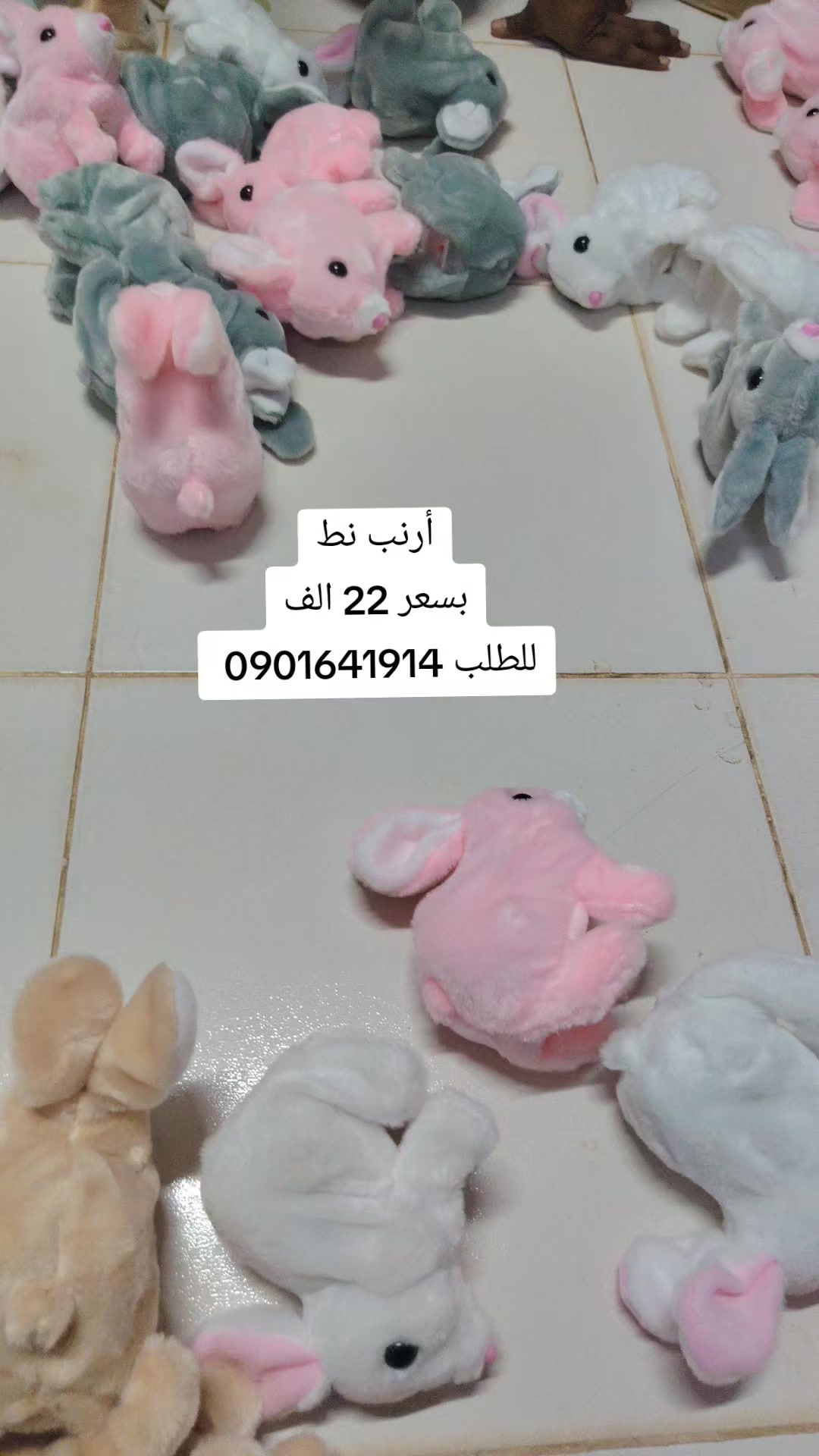 @شركة النهضة للتسوق