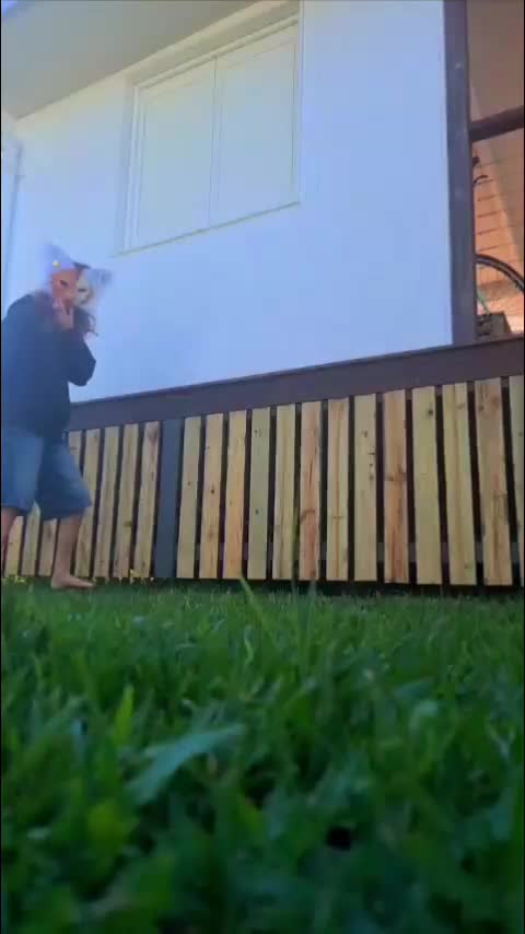 @˗ˏˋ ʍą×! / ƒ⩇×վ ˎˊ˗