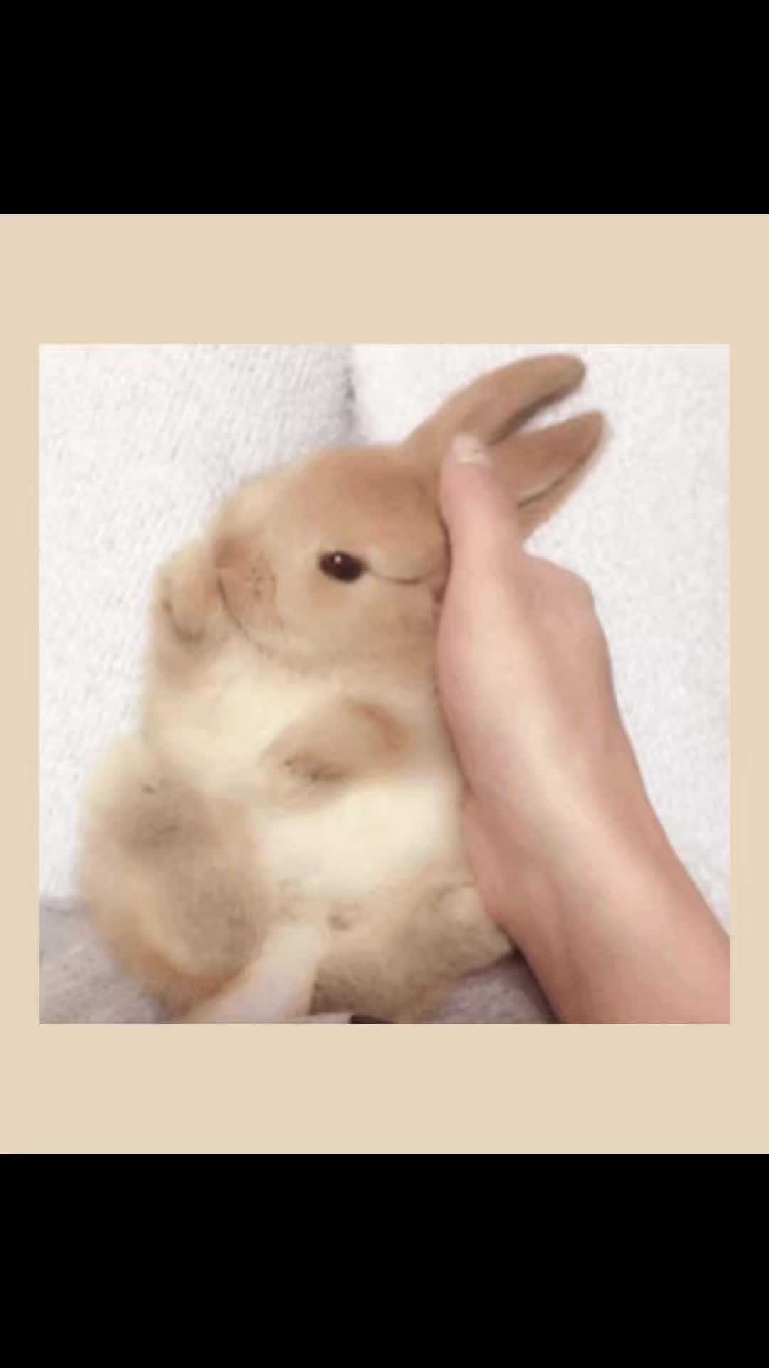 @♫︎۶ৎ𝑨𝒄𝒆۶ৎ♫︎