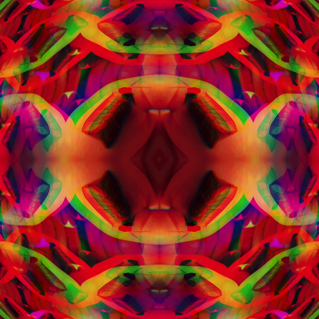 @tinkerportal