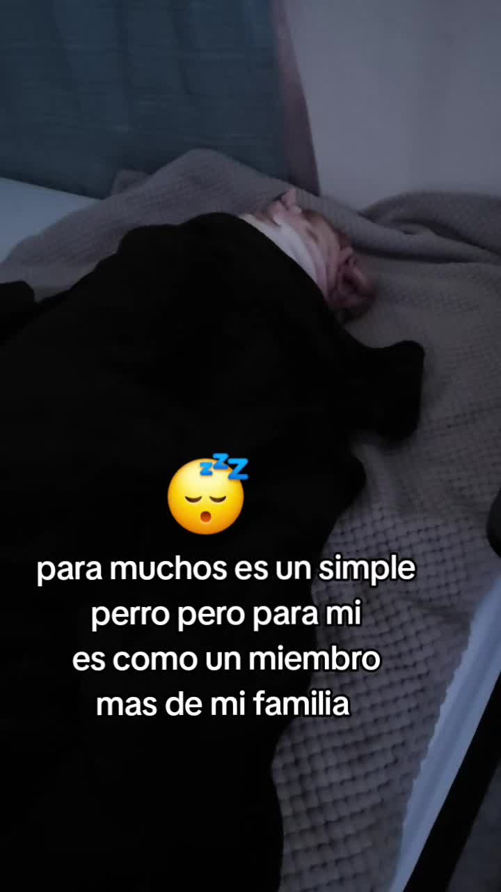@carlos quintero