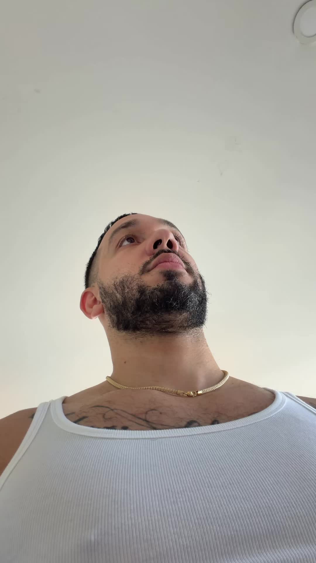 @Chicklet.HF