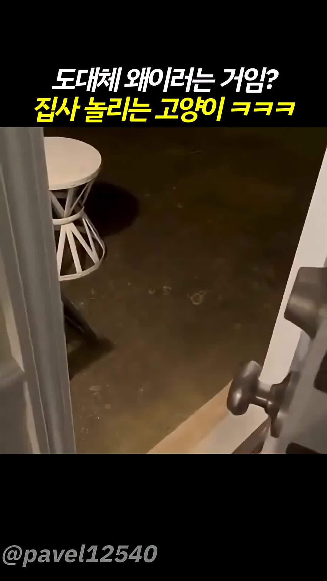 @pateckFunny