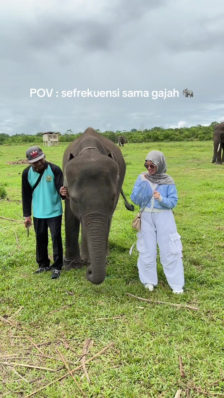 @sandassya