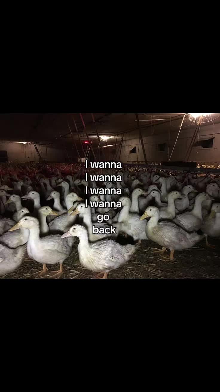 @Anna☭🚩⚢/⚤