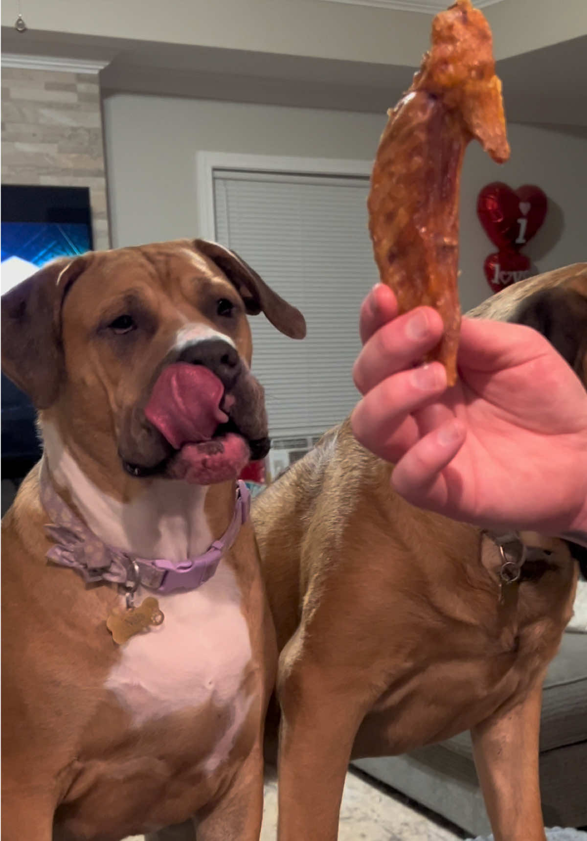 @Nala & Hurley