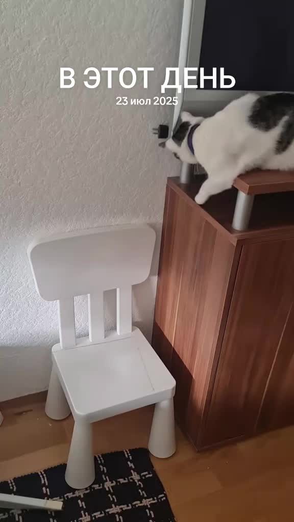 @😛Катюша😛