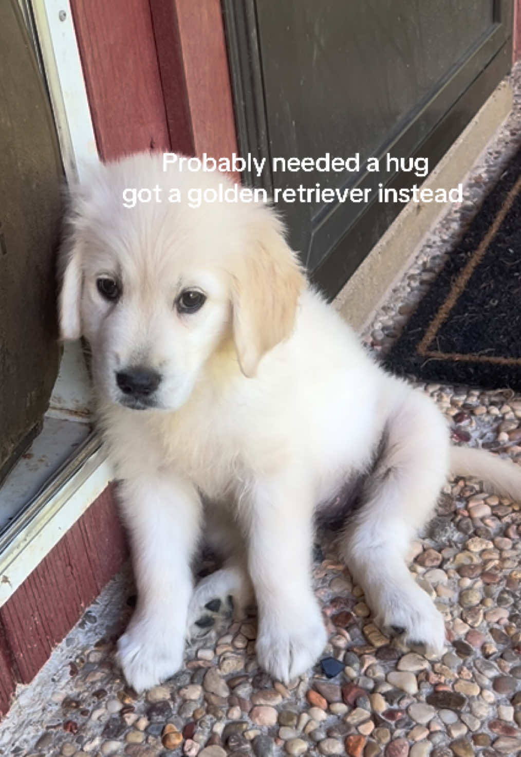 @Marley_Raye