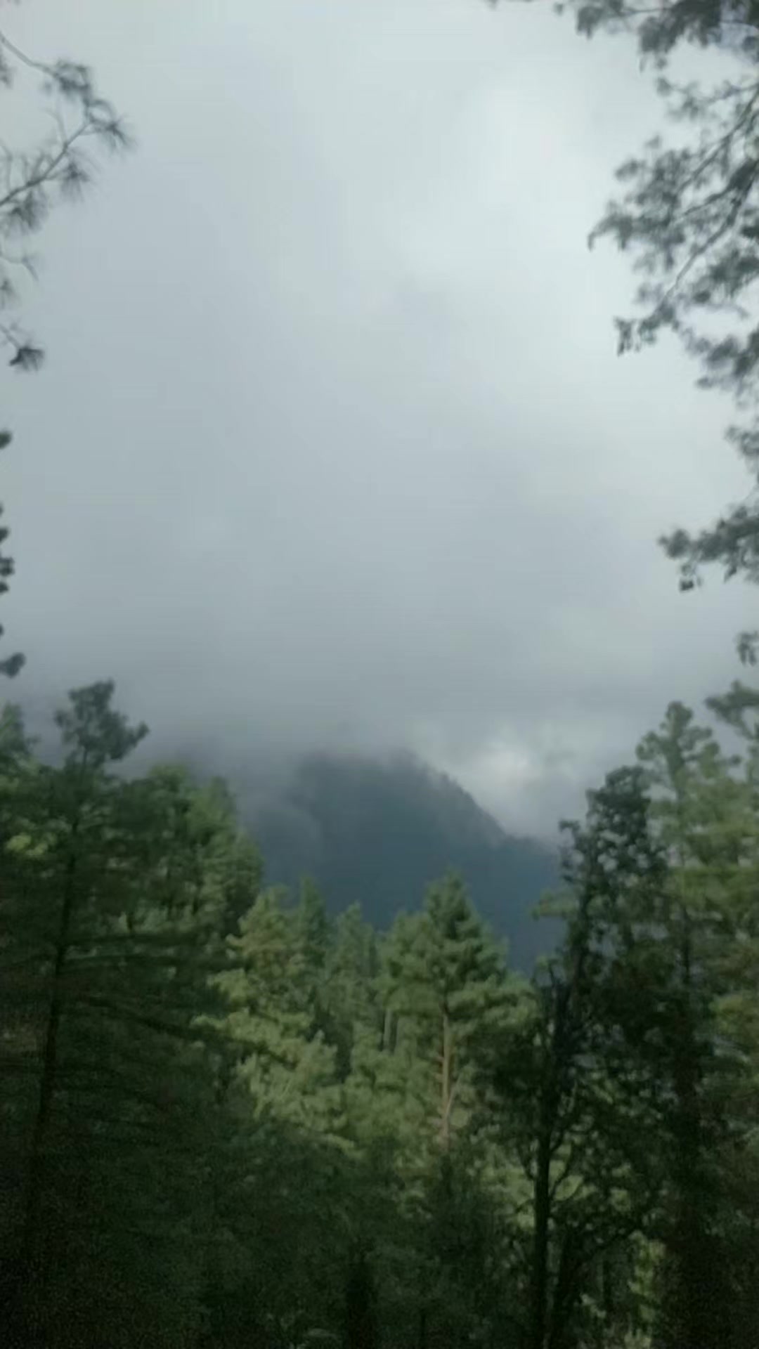 @Adi Malik