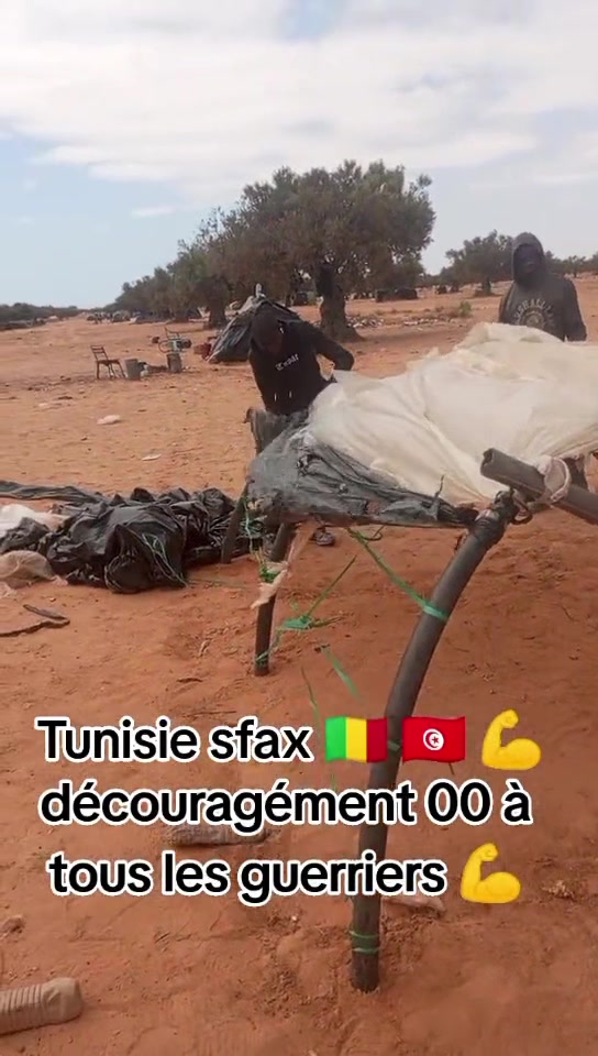 @Modibo Coulibaly