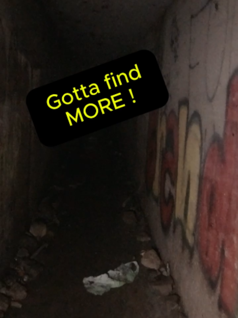 @DD Explores