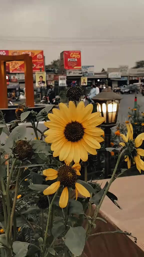 @𓂃𝐐𝐮𝐞ع𝐧֟⸙᭄👑