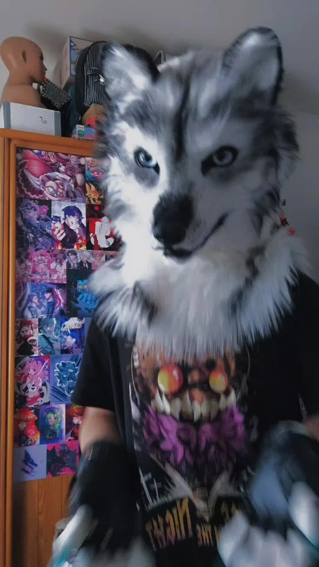 @Shysako.Fur