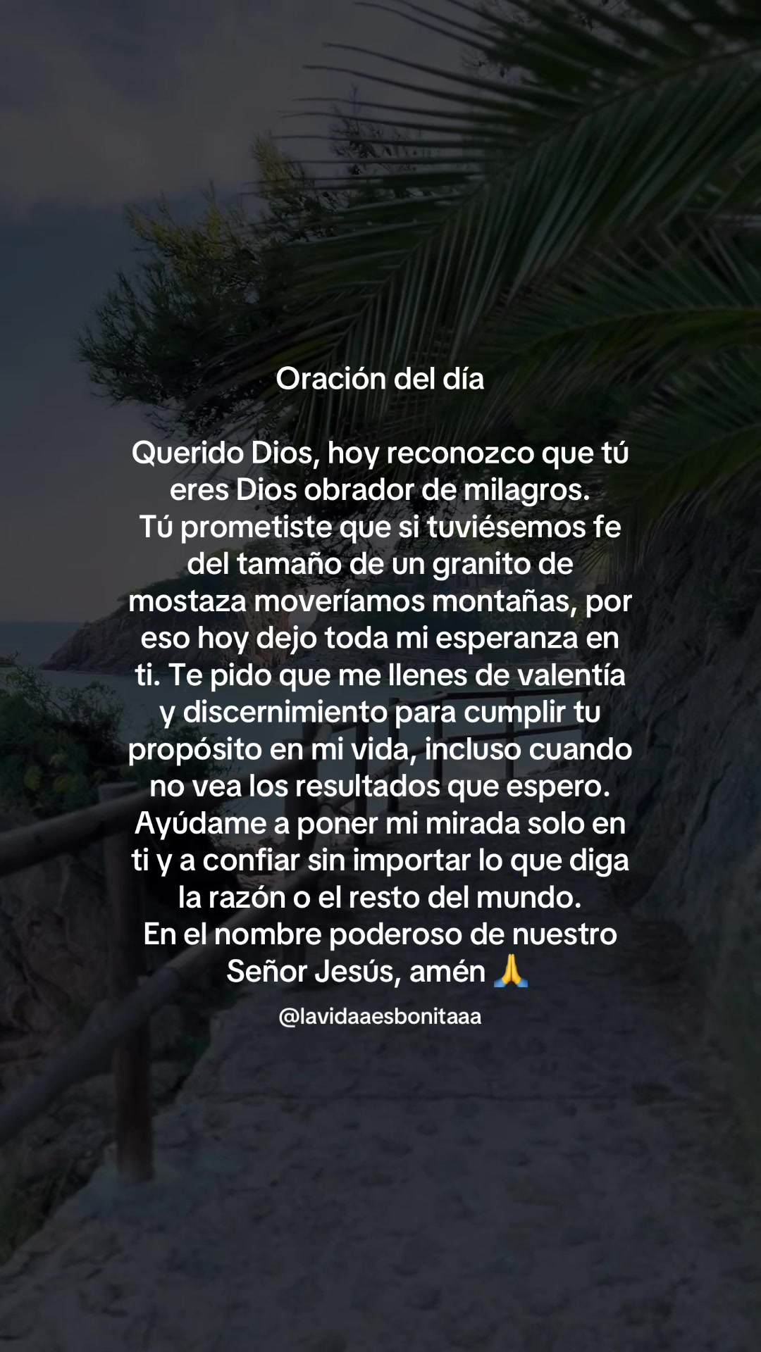 @vidabonita❤️&zwj;🩹