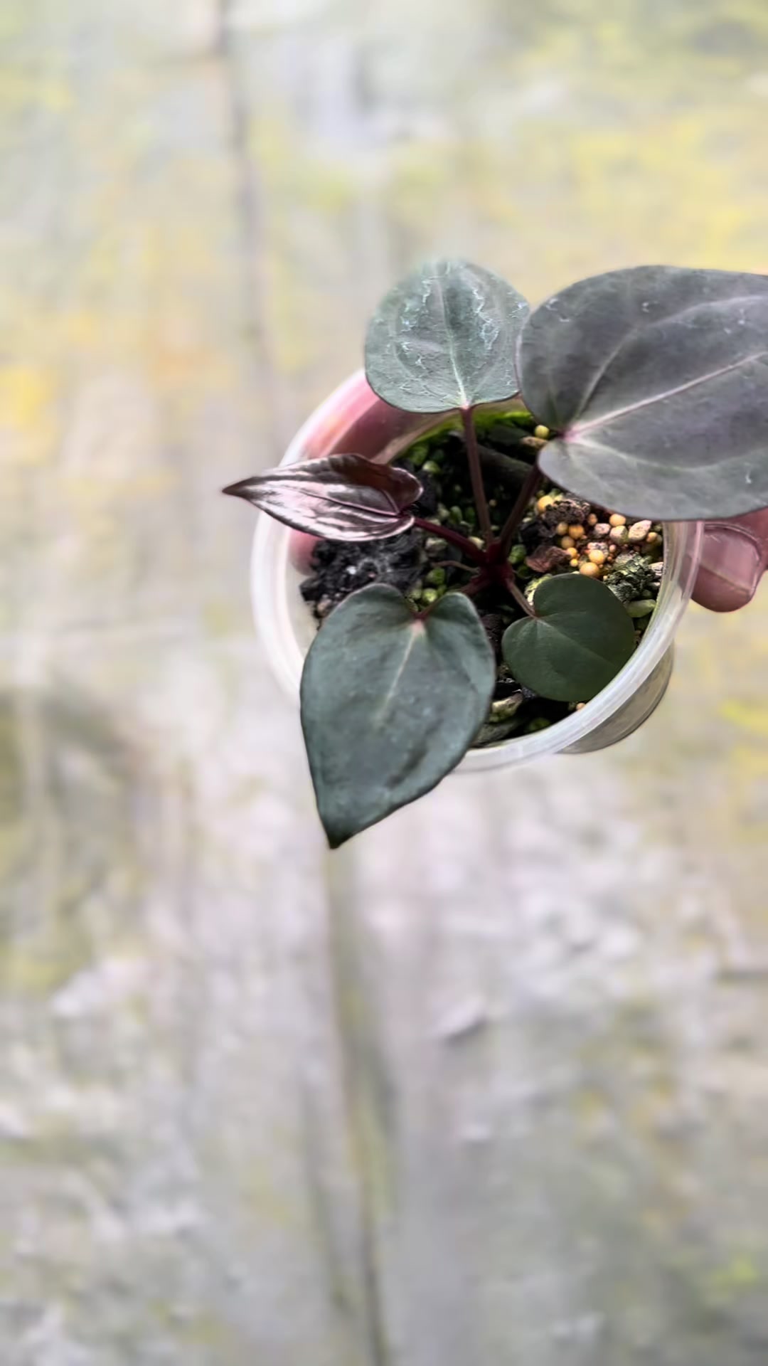 @KeepcầmKây🥦