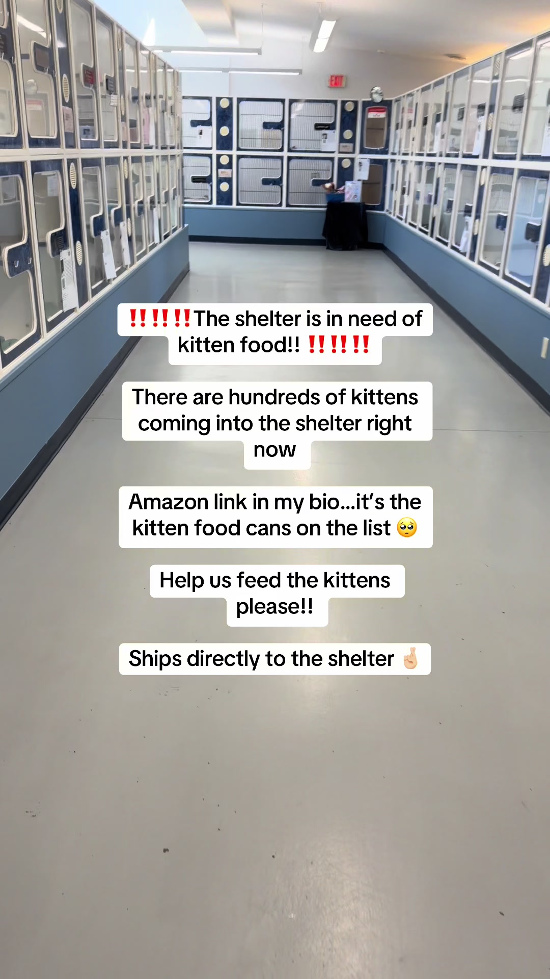 @myTinypurpose