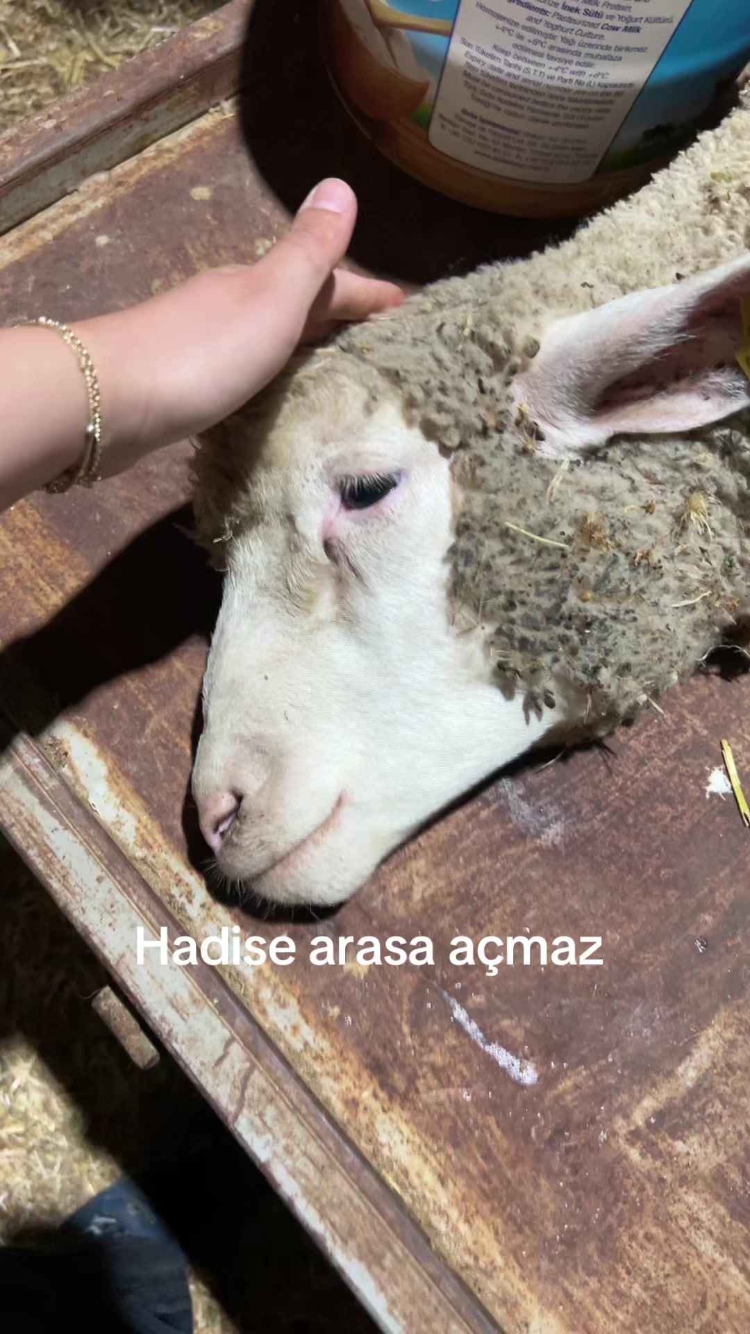 @irem iii