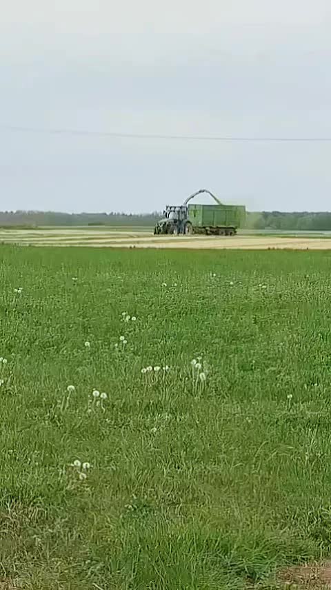 @Mäggie