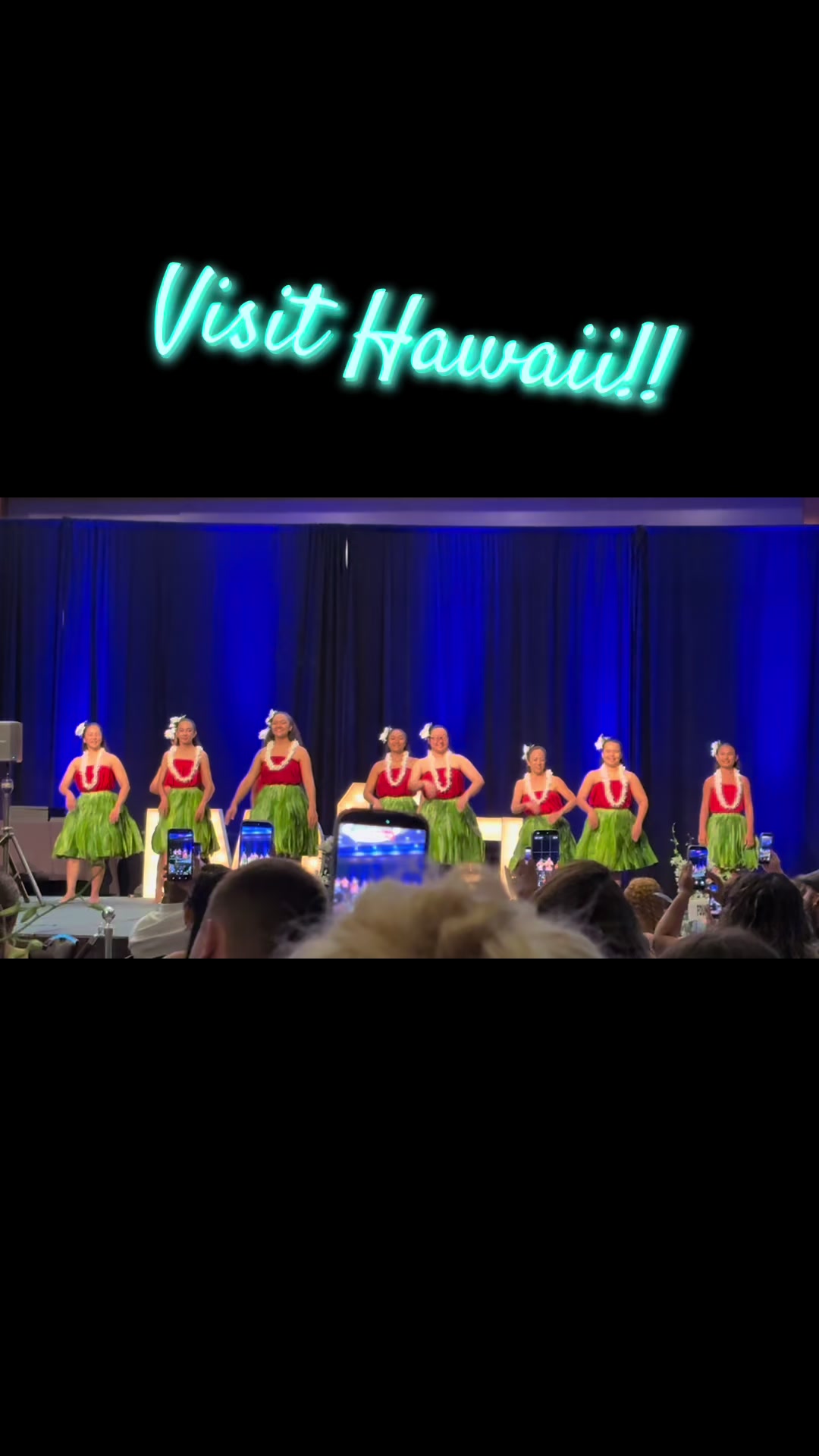@Cassie Adams/ Travel Agent