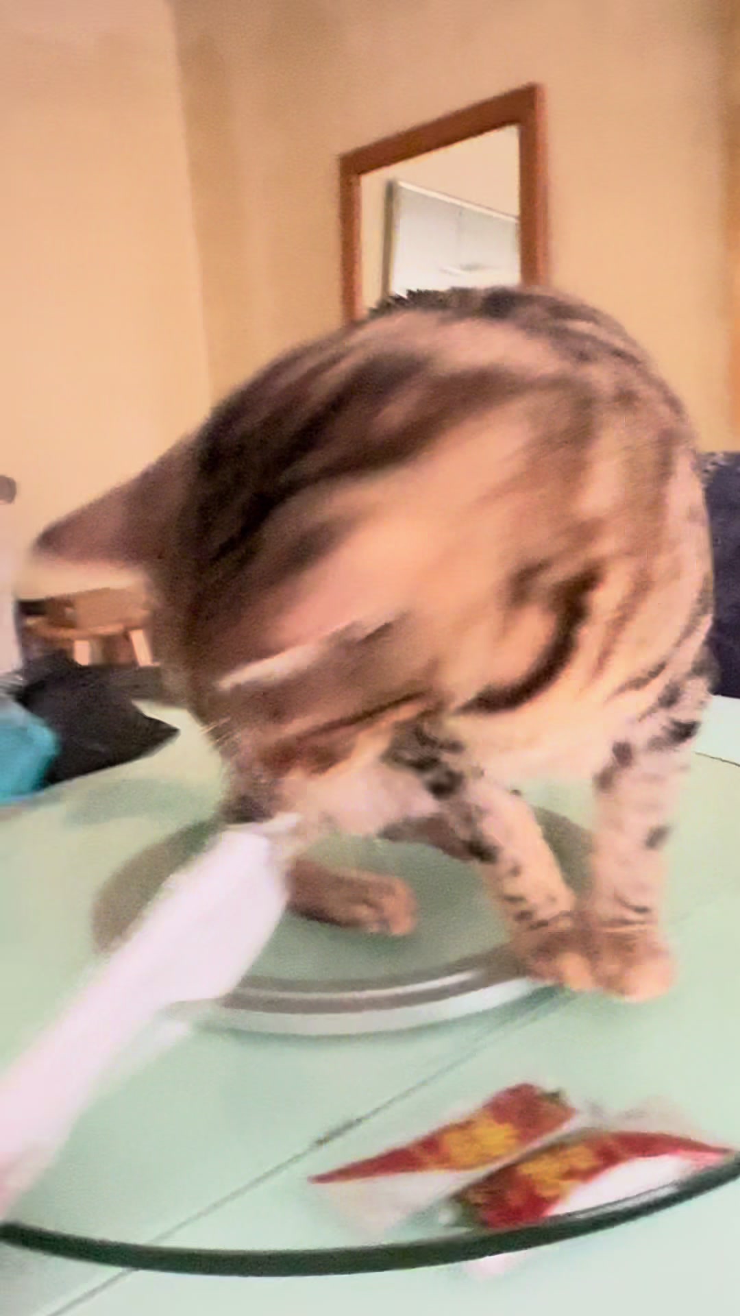 @Drew crazy cat guy