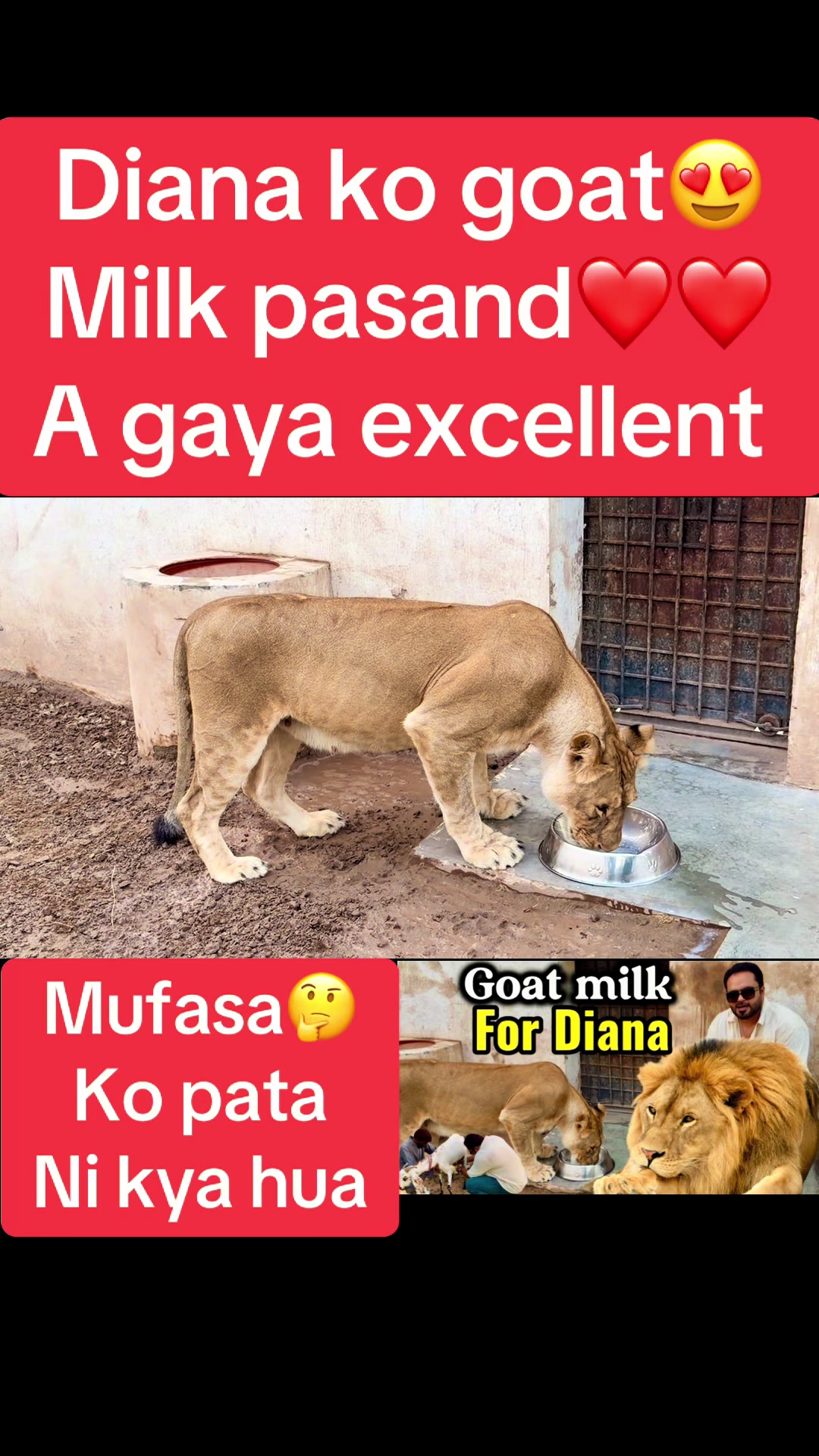 @Mian saqib