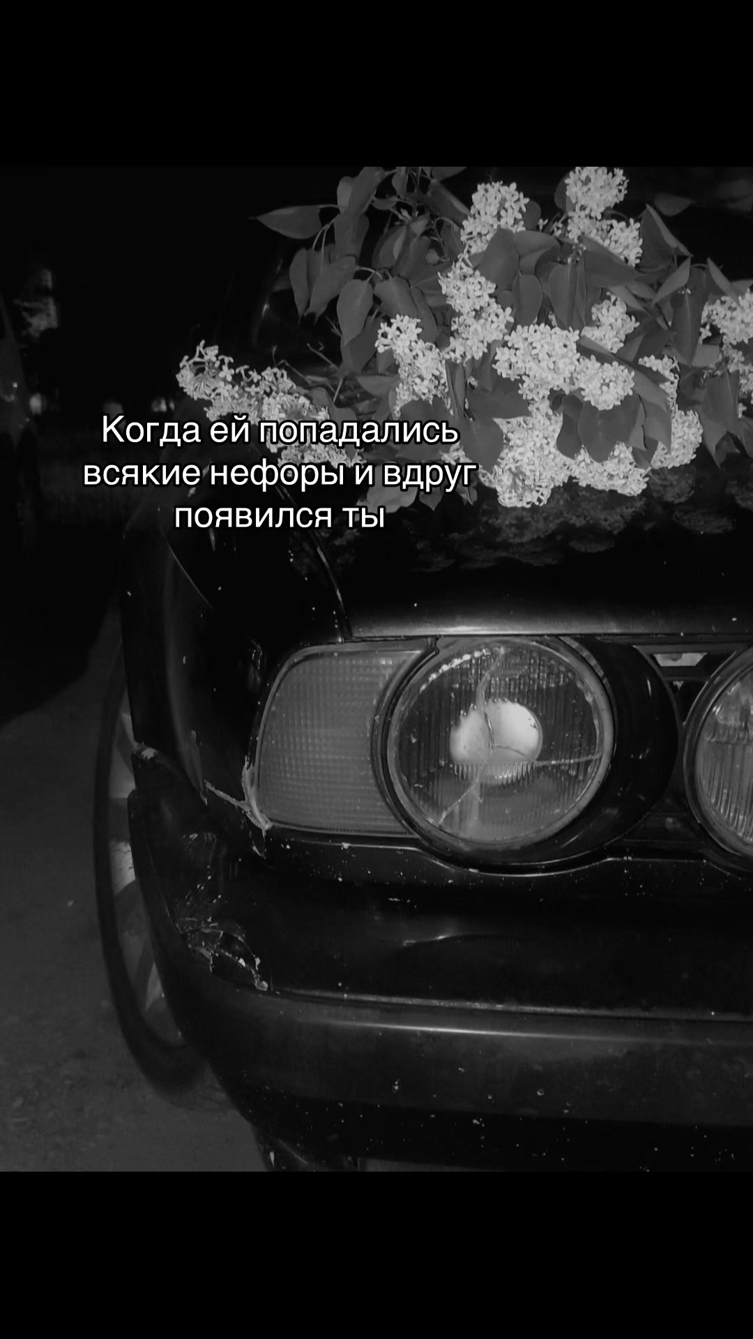 @Yarych (Ярич)