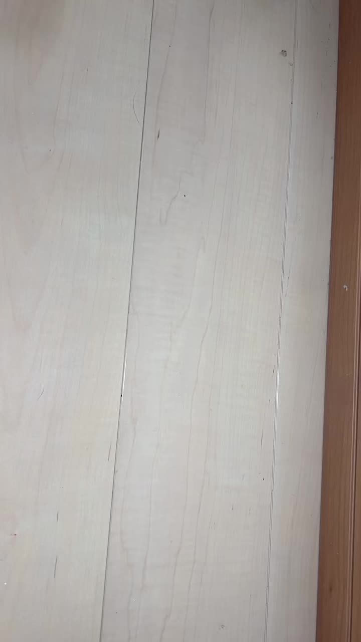@yuzuðð©¶