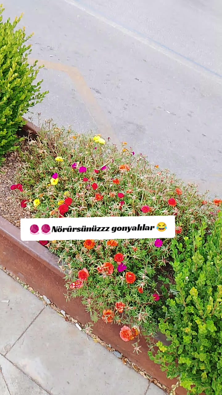 @gökcee:)