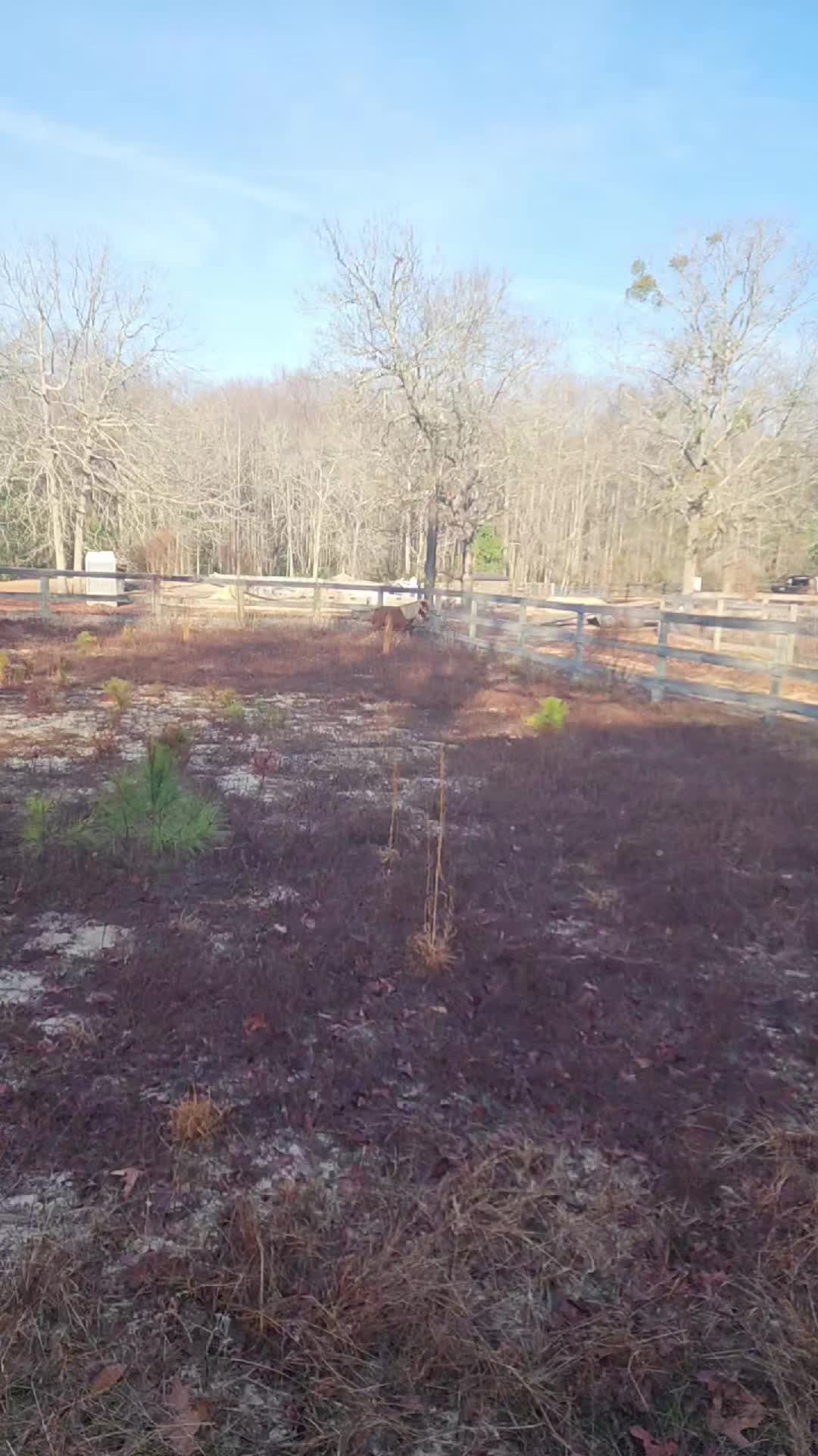 @Almost Perfect Acres