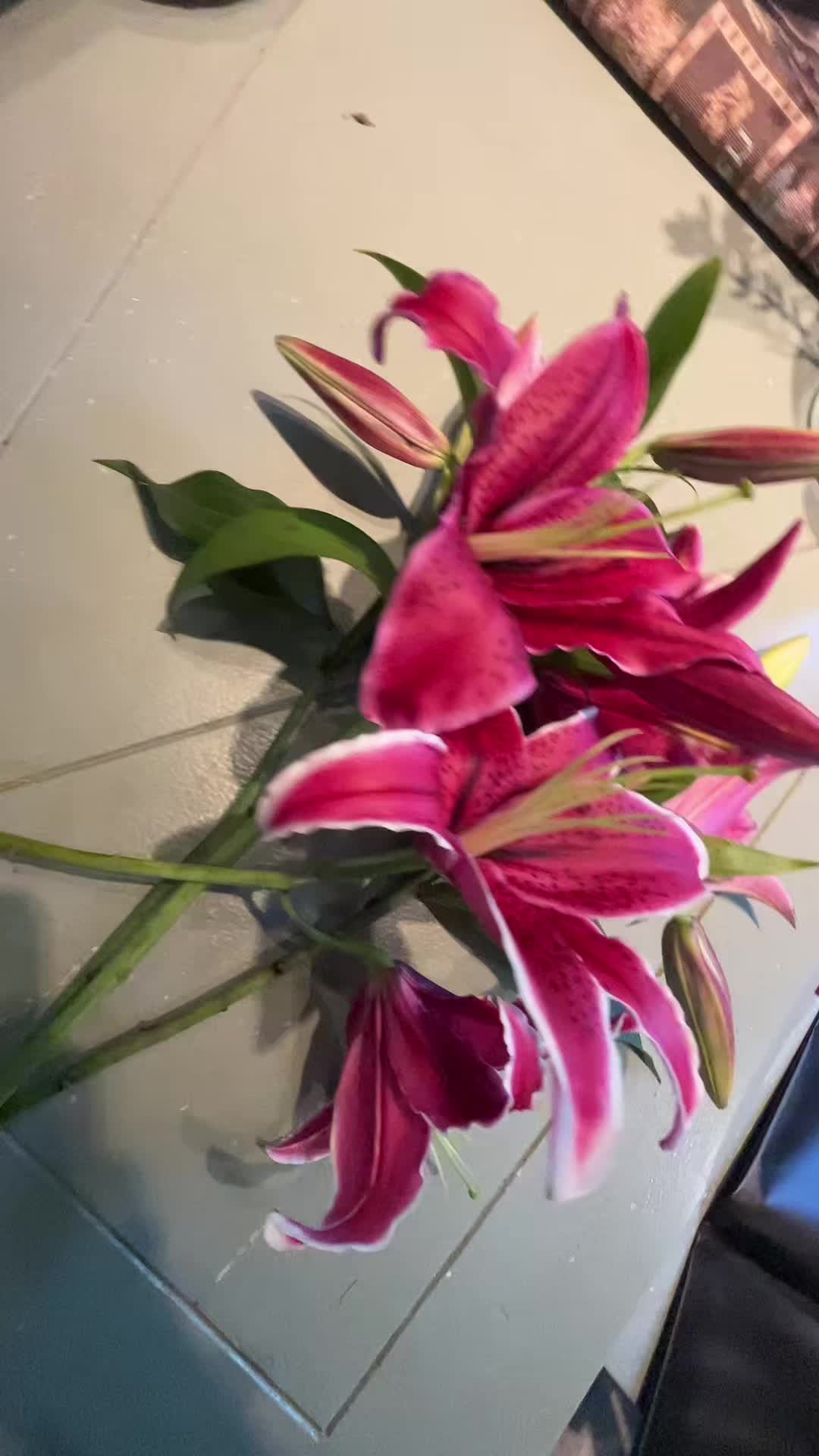 @Blooms By Dija💐