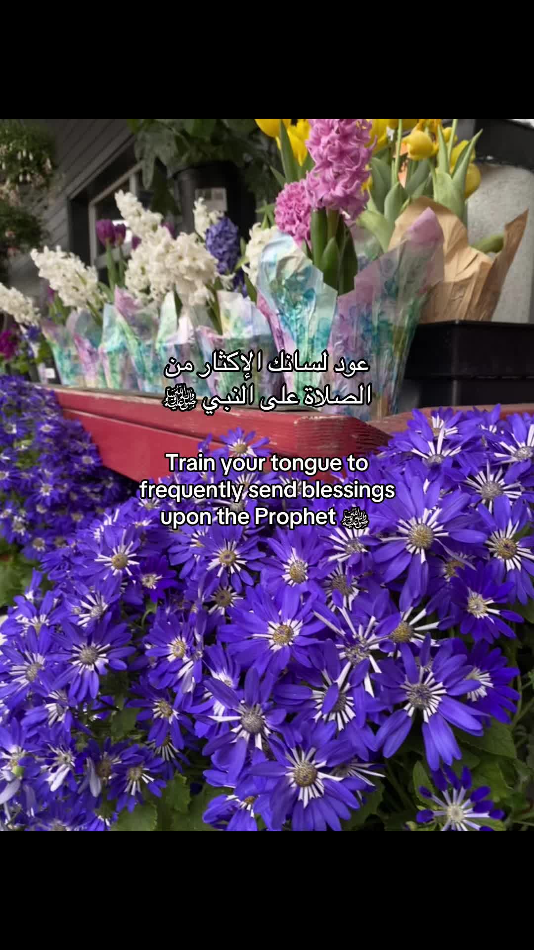 @فيها خير