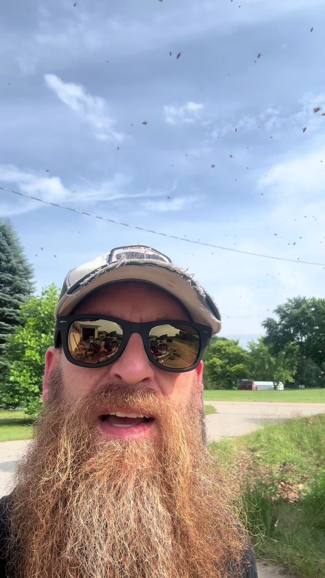 @Bearded bee man