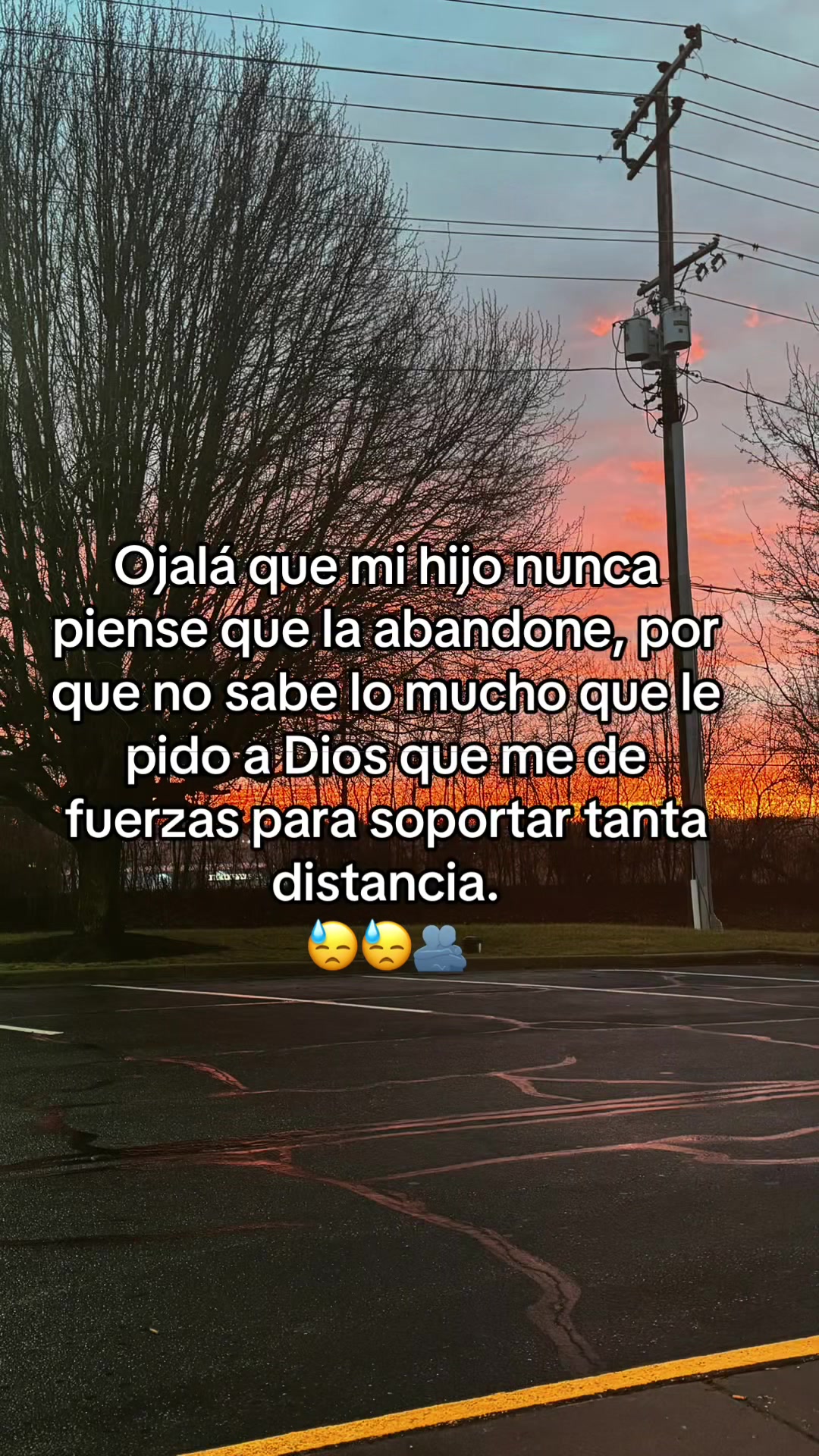 @Lorena Tolentino