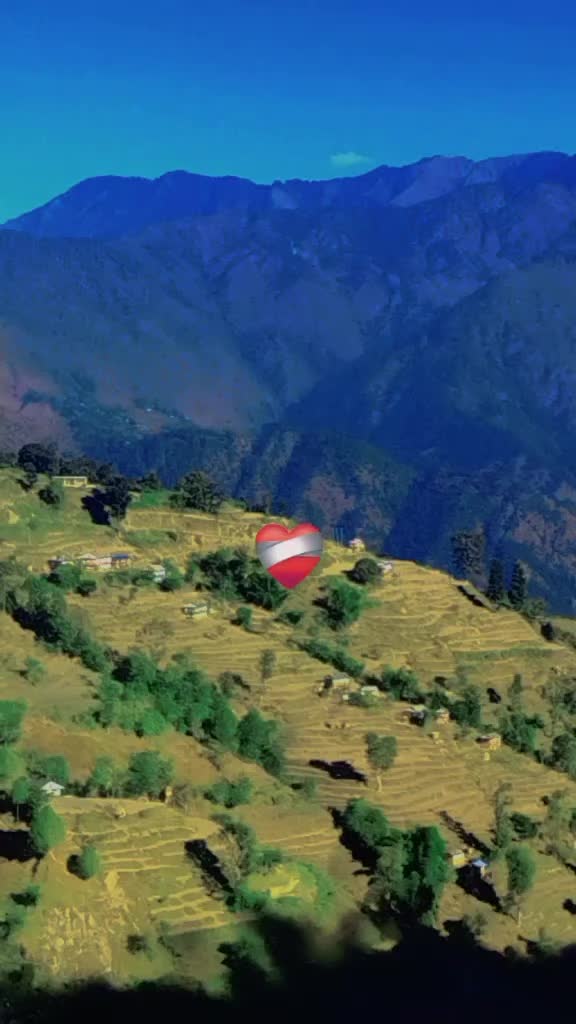 @Tekraj Vishwakarma