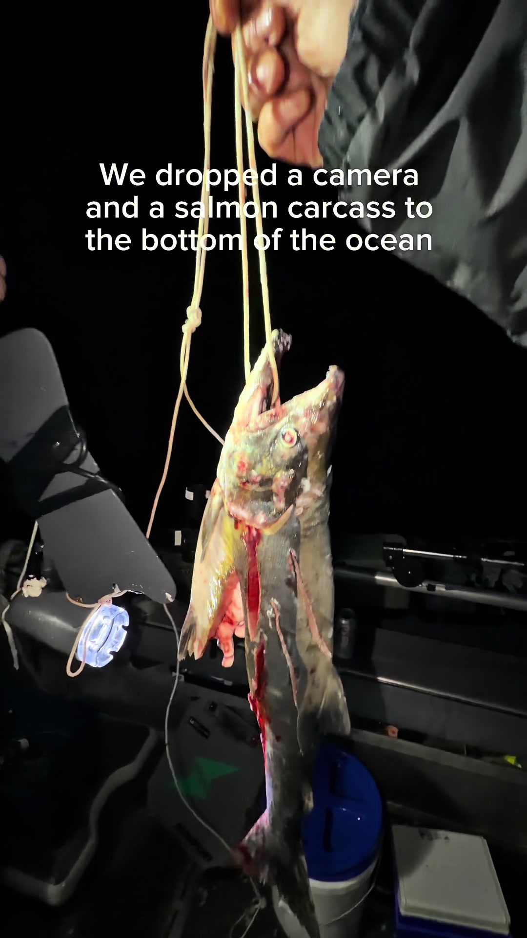 @Big Water Guy