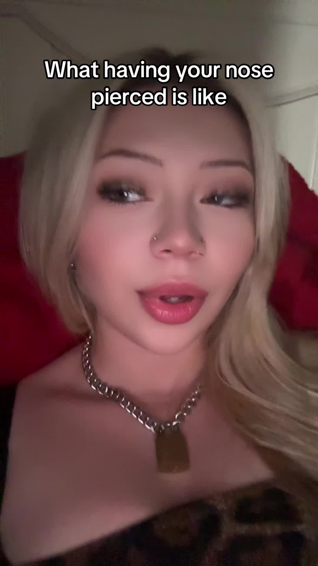 @🩵𝓕𝓻𝓪𝓷𝓴𝓲𝓮 𝓢𝓾𝓮🩵