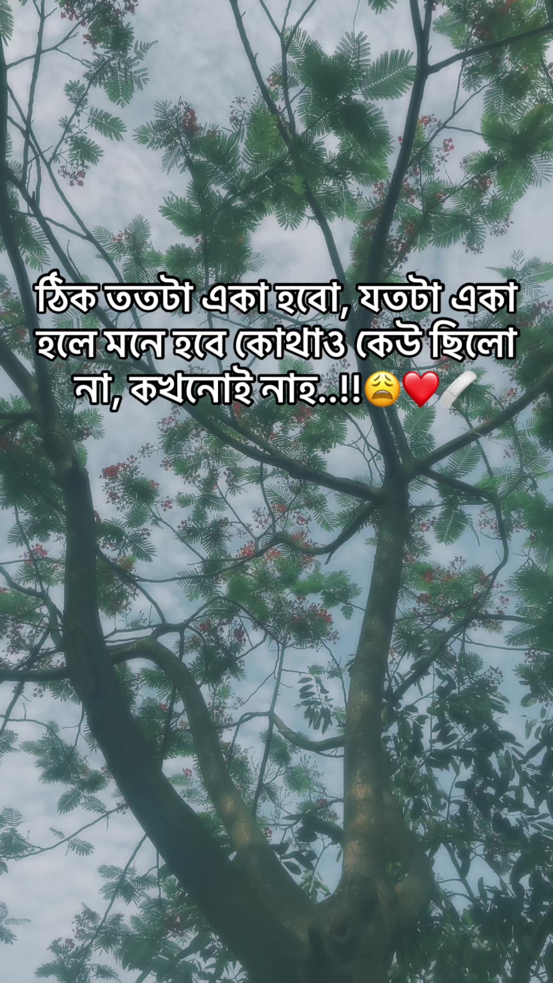 @♡(ღ◕ܫ◕ღ) ARIYAN❤️