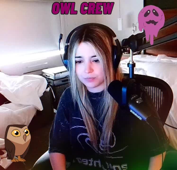 @owl_team