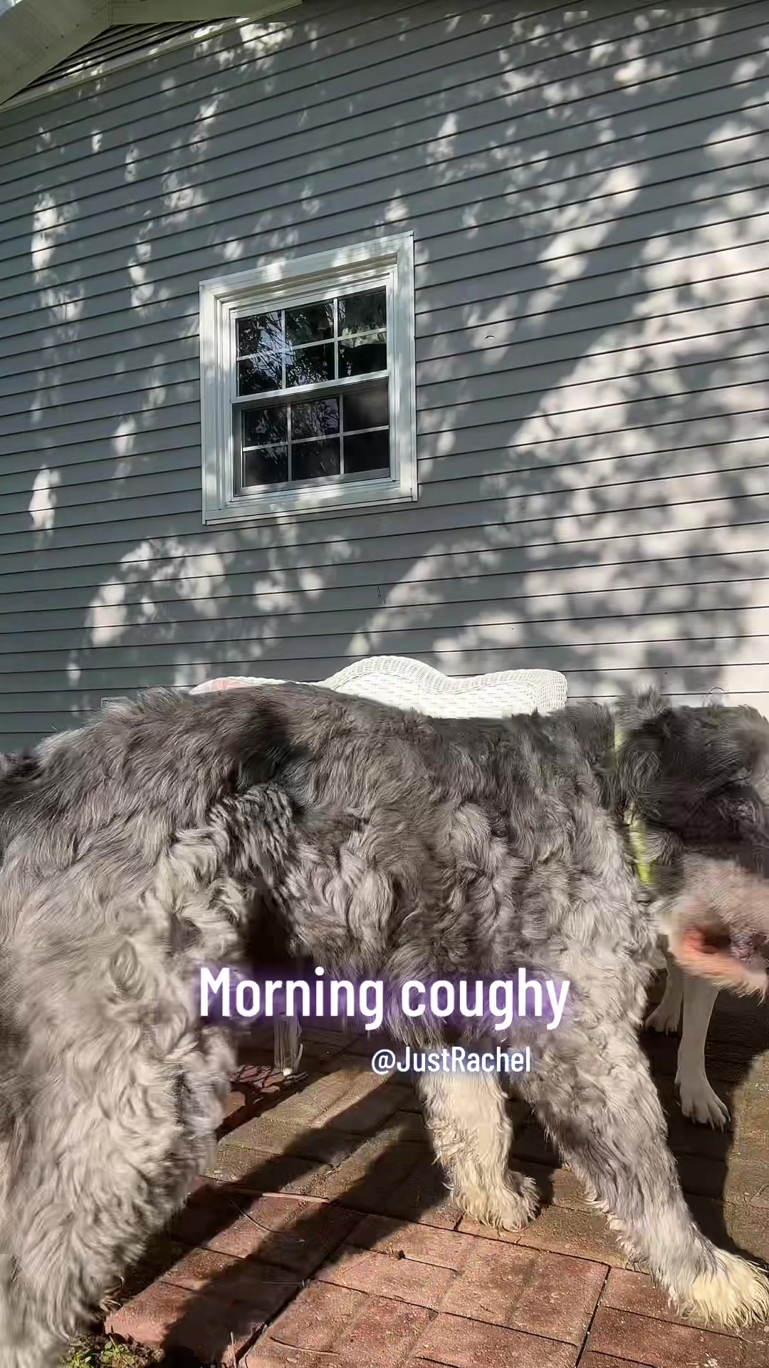 @JustRachel