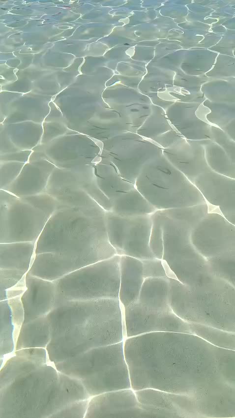 @SANDRO.M