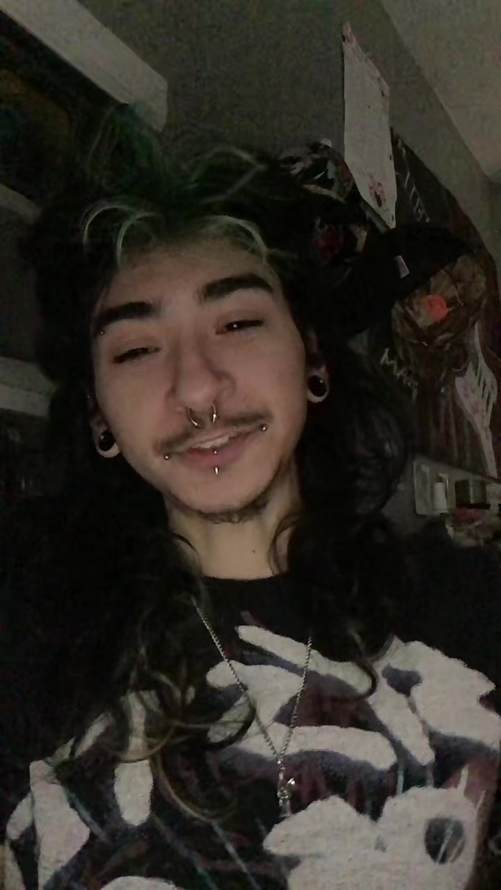 @anselll