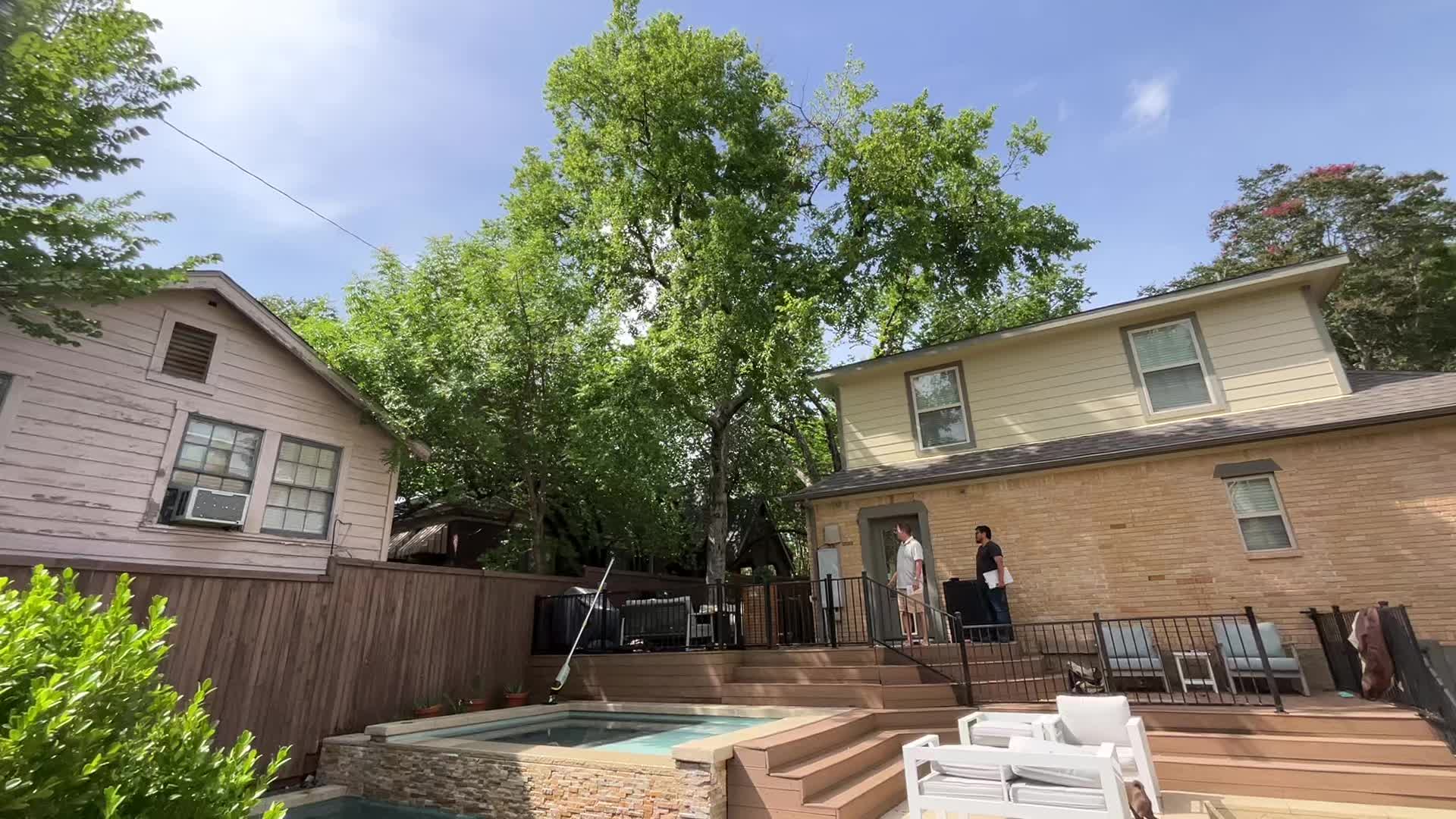 @Live Oak Tree Service