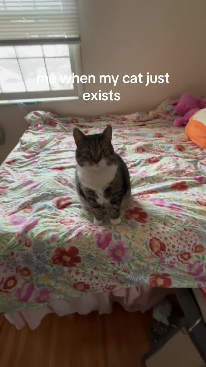 @megan😵💫