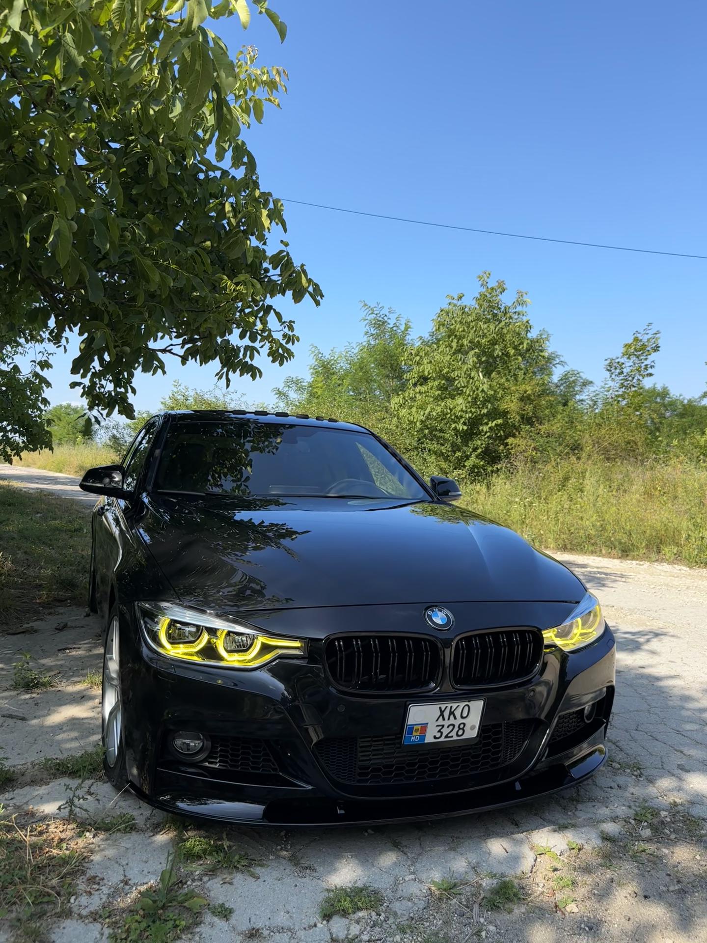 @Tomuleț _12
