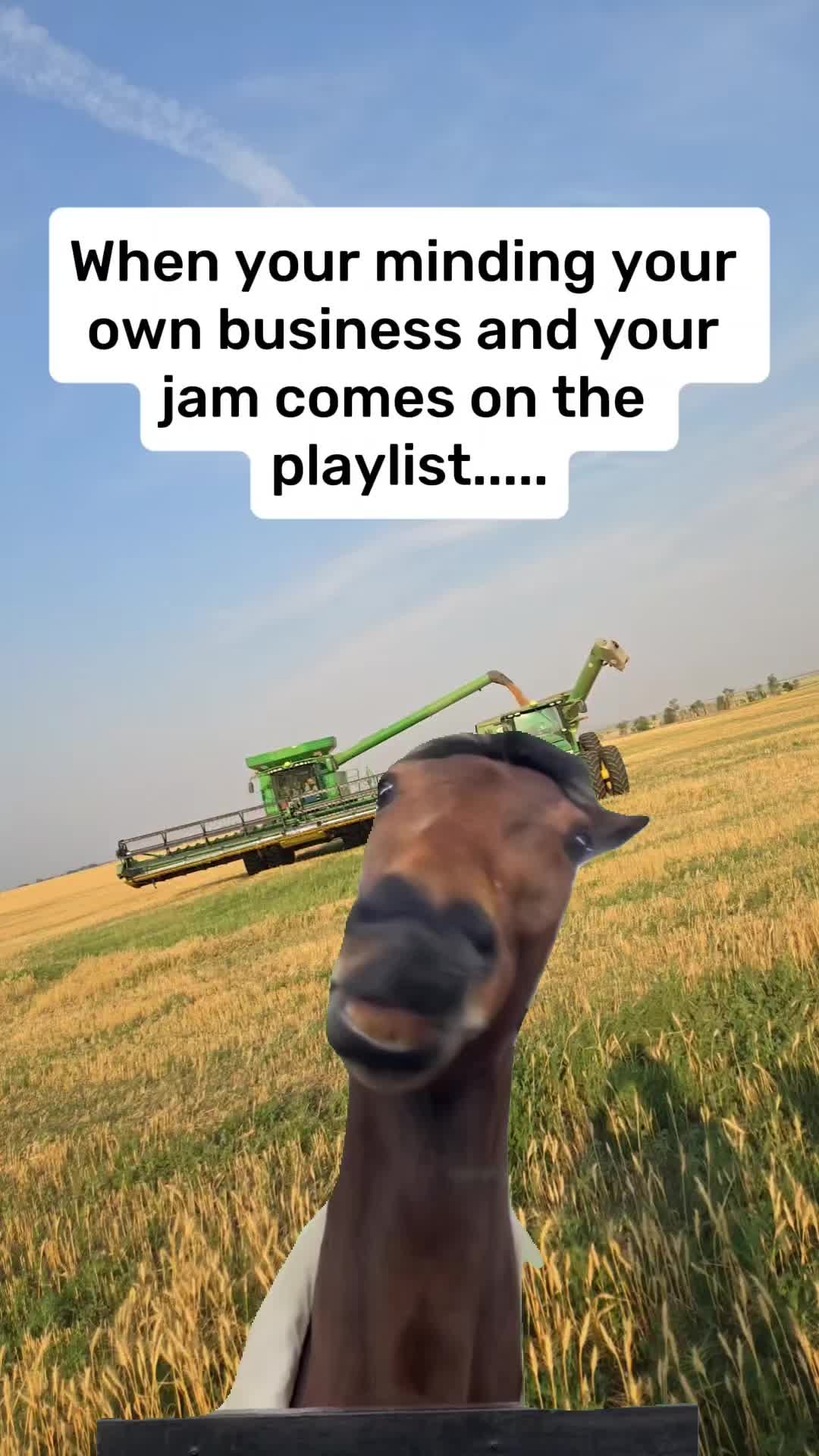 @Kayla