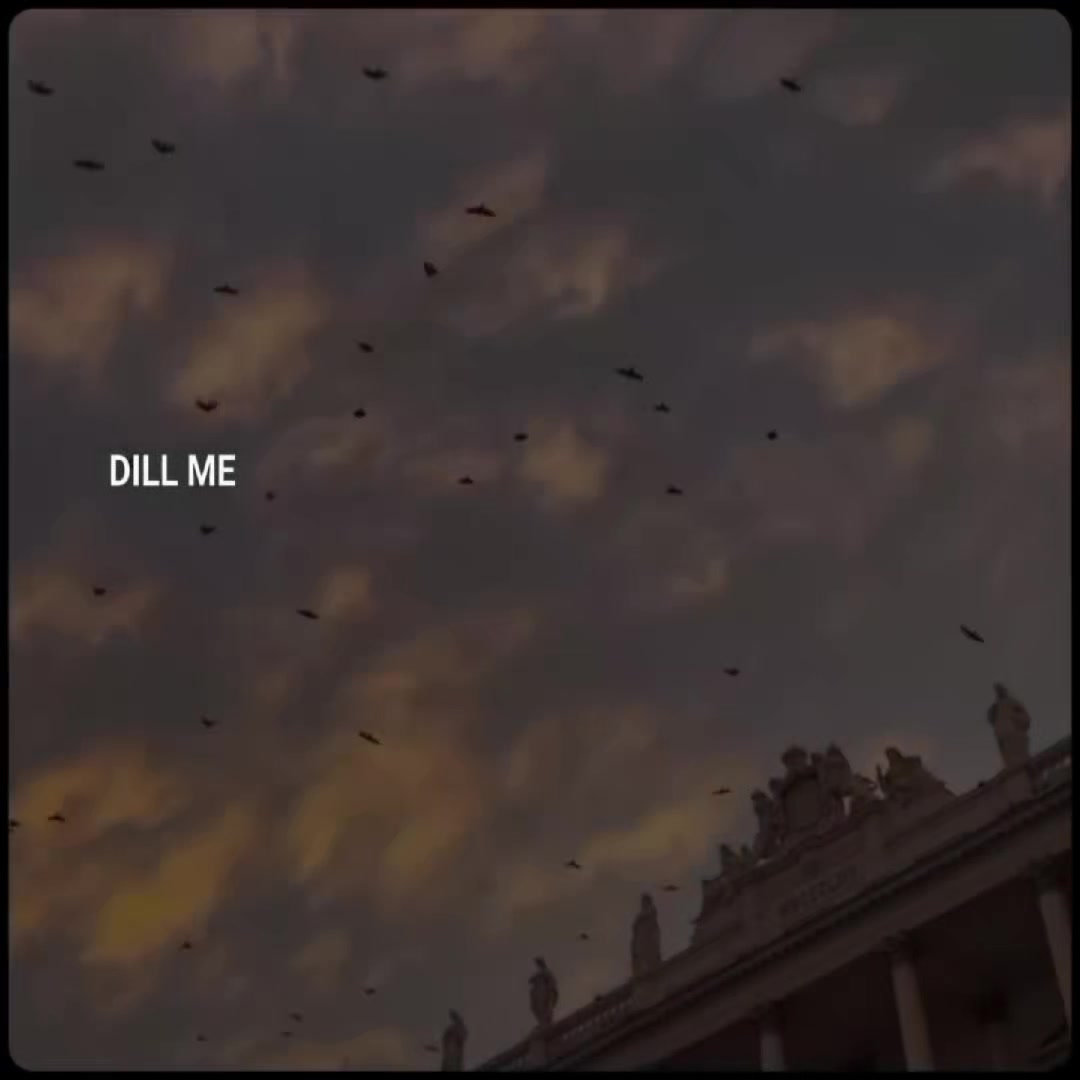 @ꃅคᵦⁱᵇꪊ𝗅𝗅α𝐡⛎